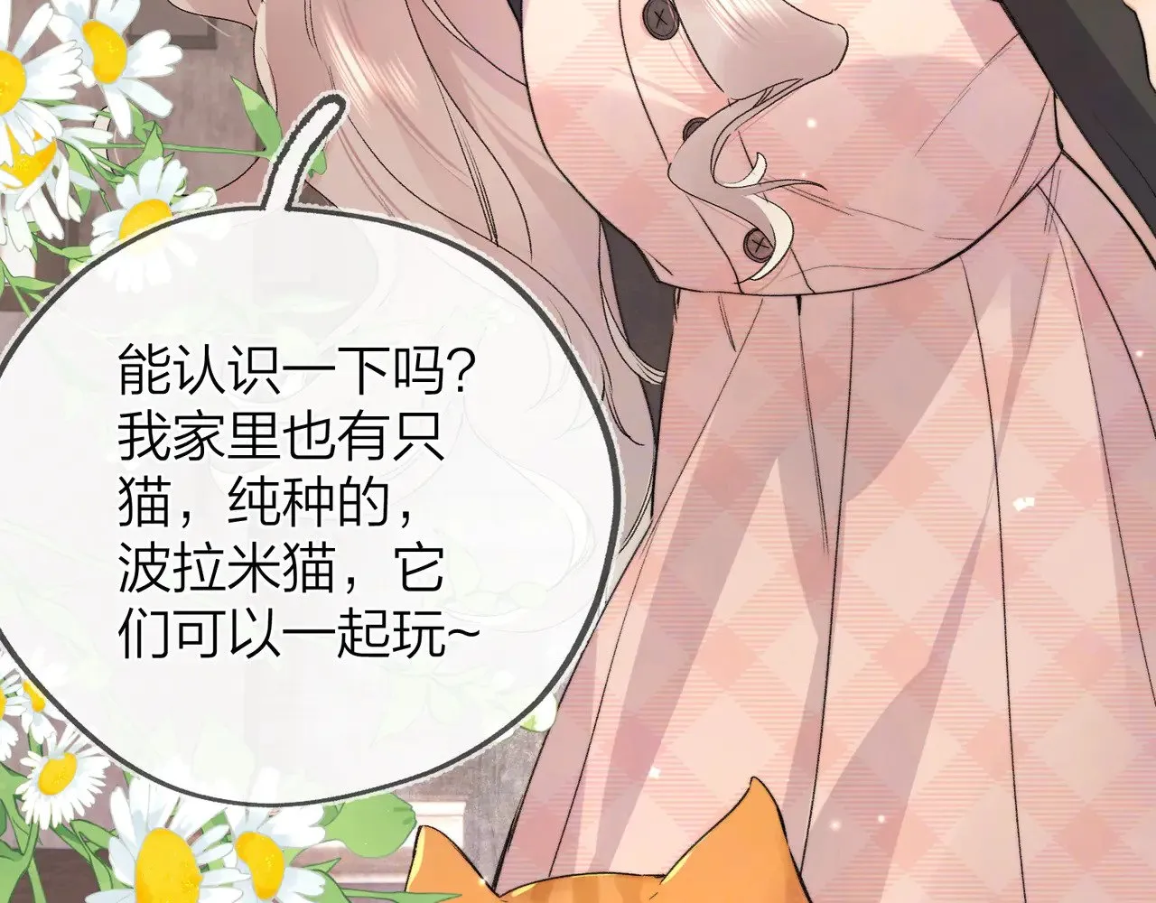 第四十八话 你们俩的猫36