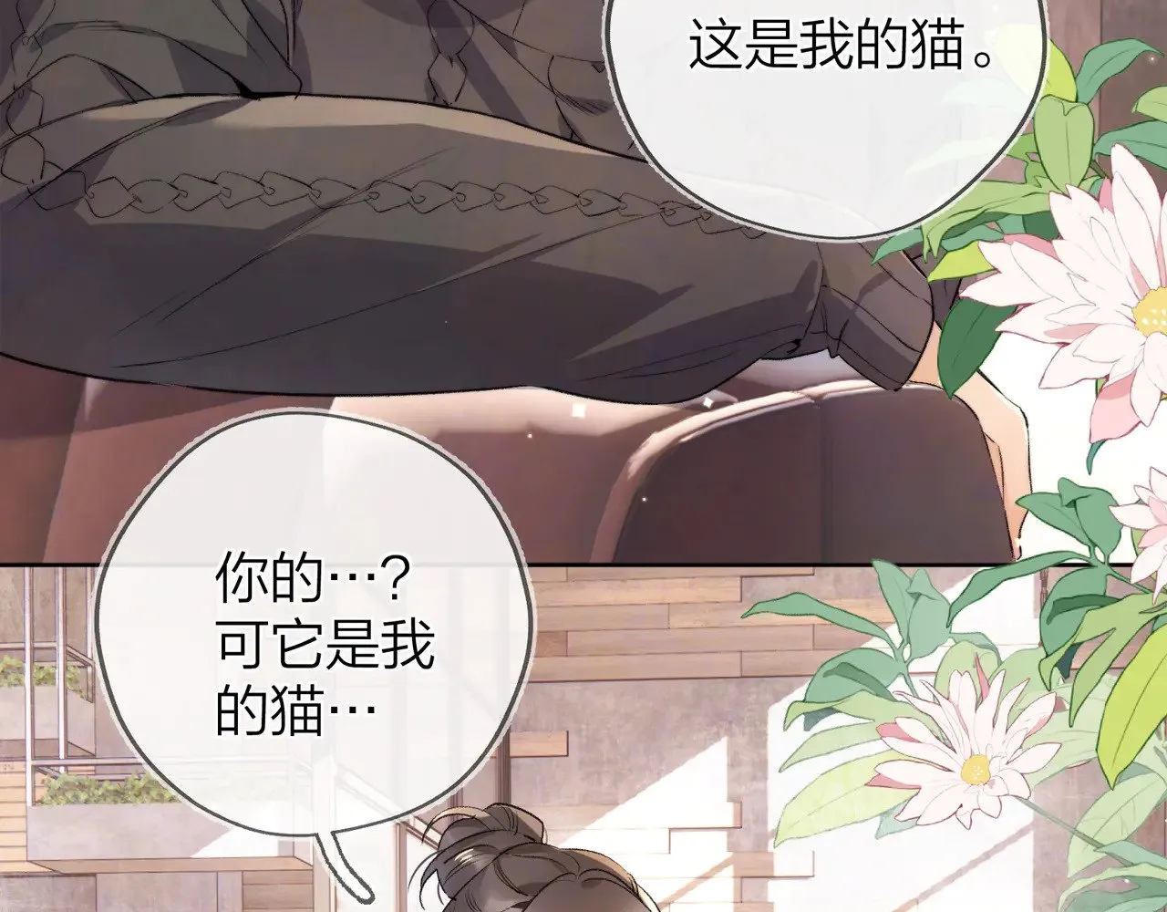 第四十八话 你们俩的猫5