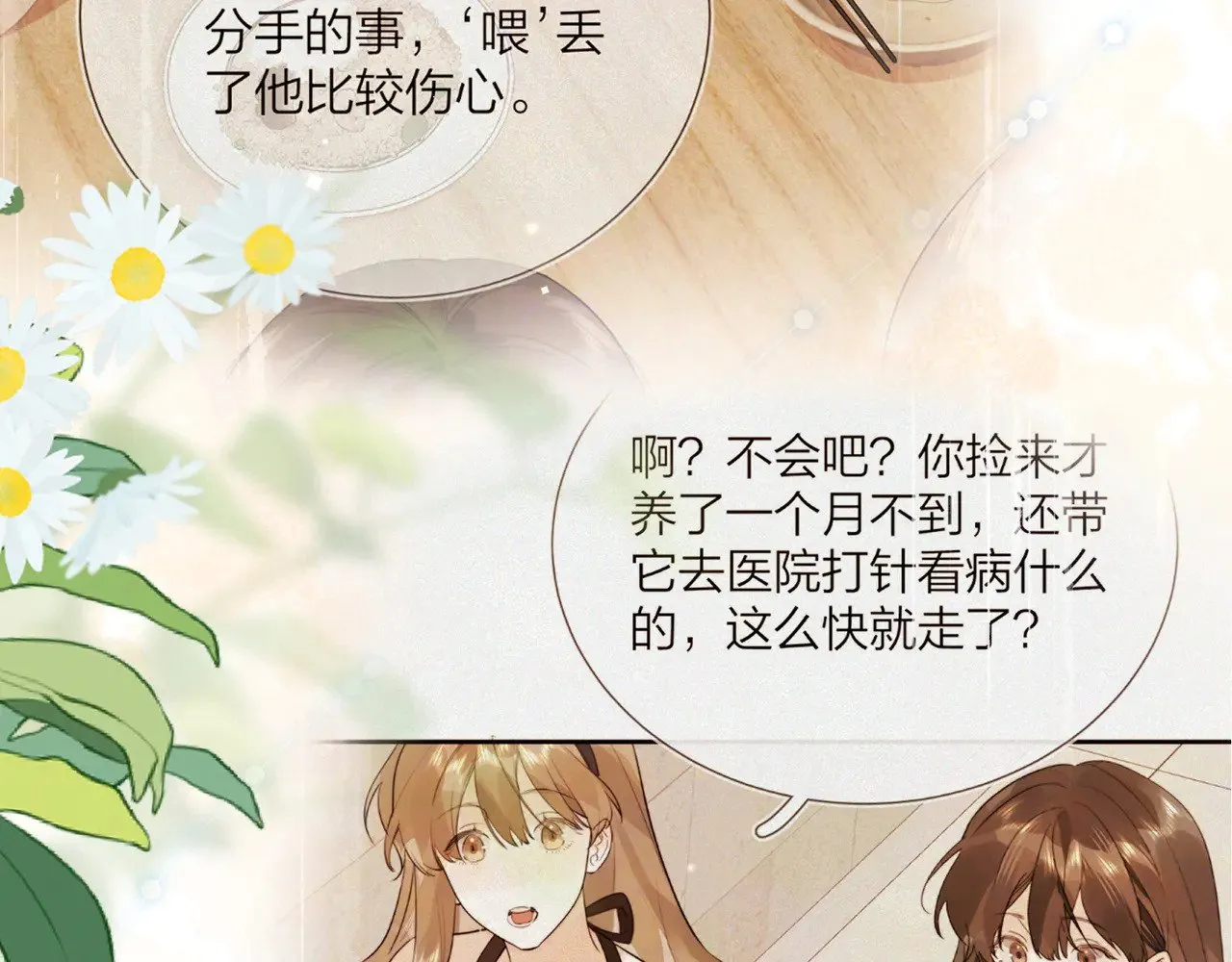 第四十八话 你们俩的猫11