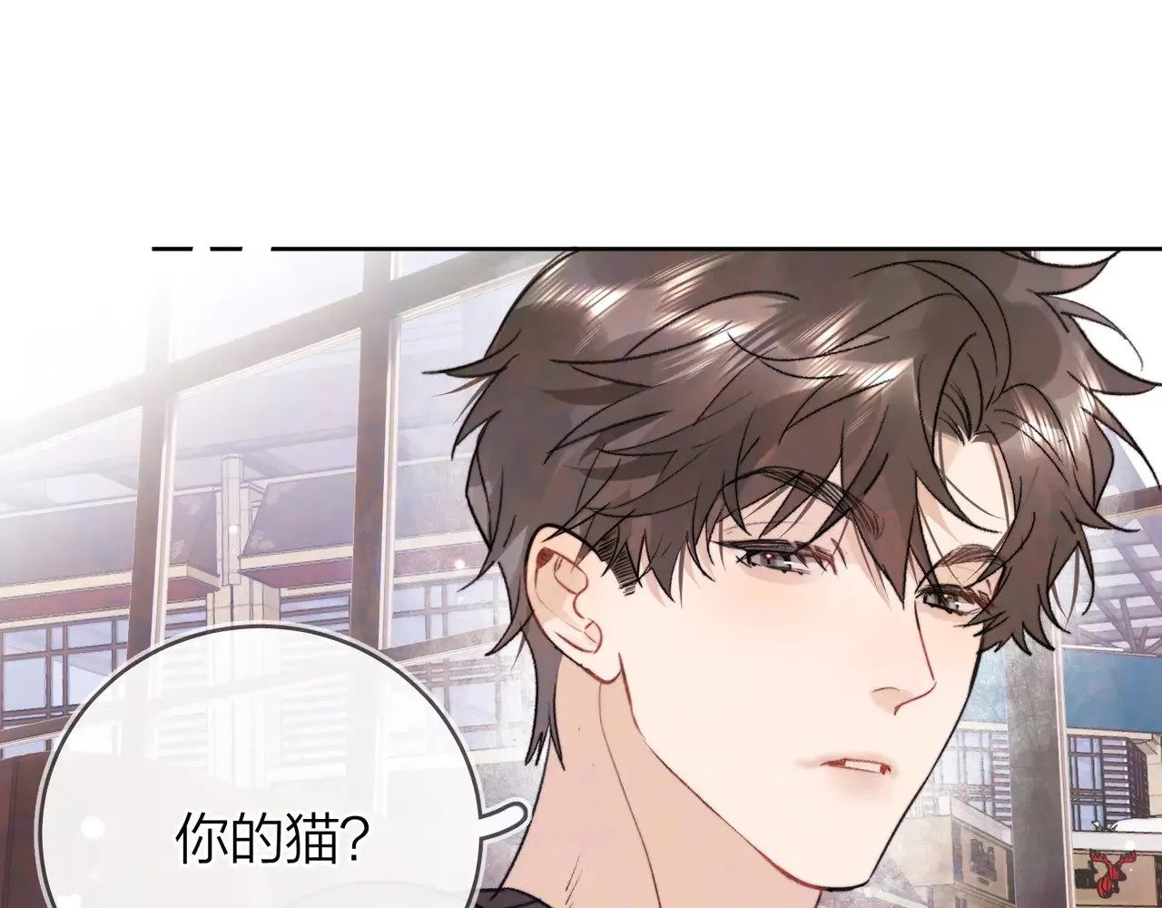 第四十七话 你的猫？77