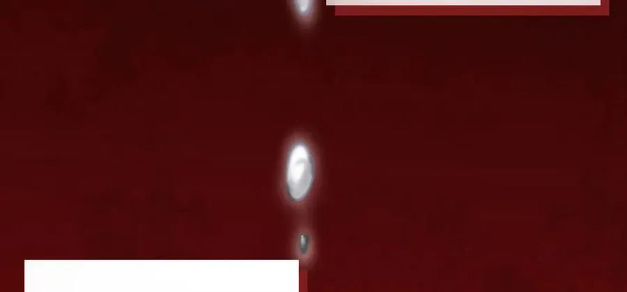 32 斗兽场177