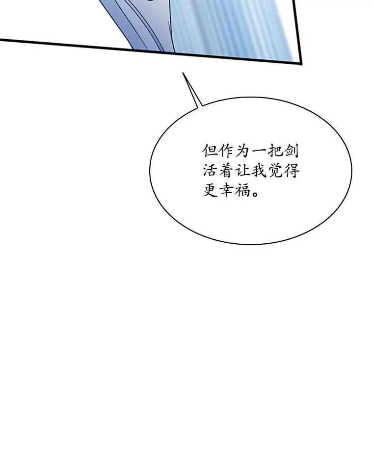 178.佩戴双剑87