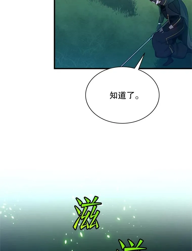 178.佩戴双剑42