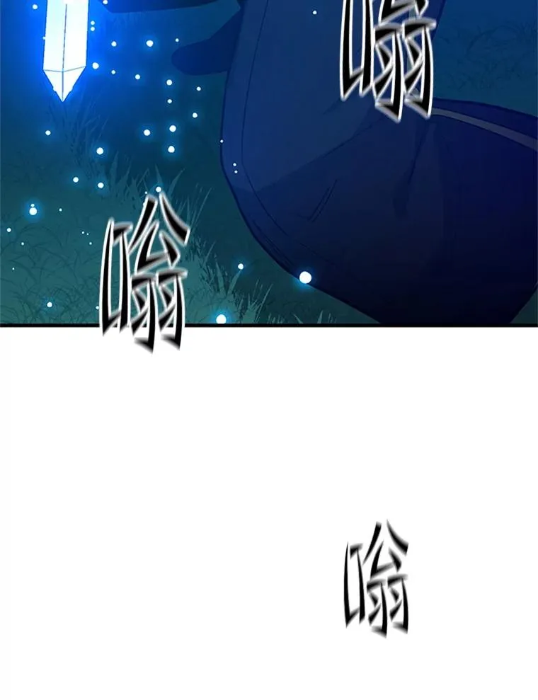 177.购入新剑79