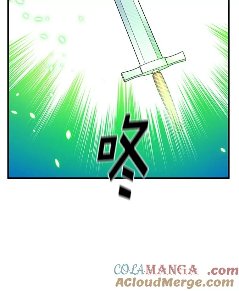 178.佩戴双剑100