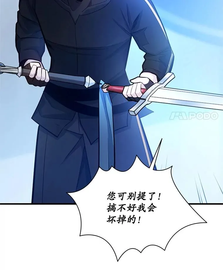 178.佩戴双剑110