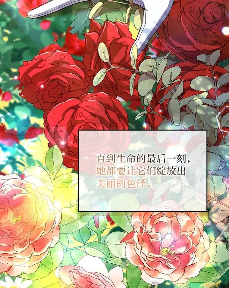 81.解除第四个限制51