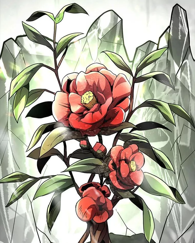 81.解除第四个限制14