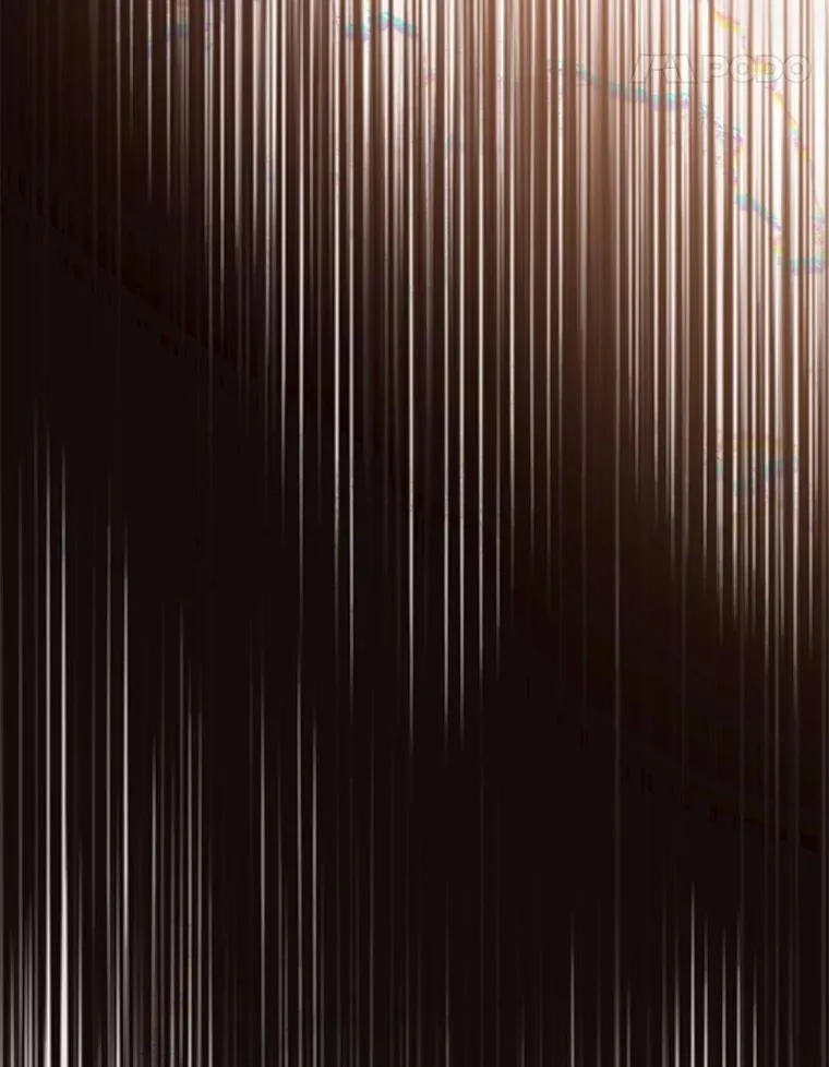 58.都是假的106