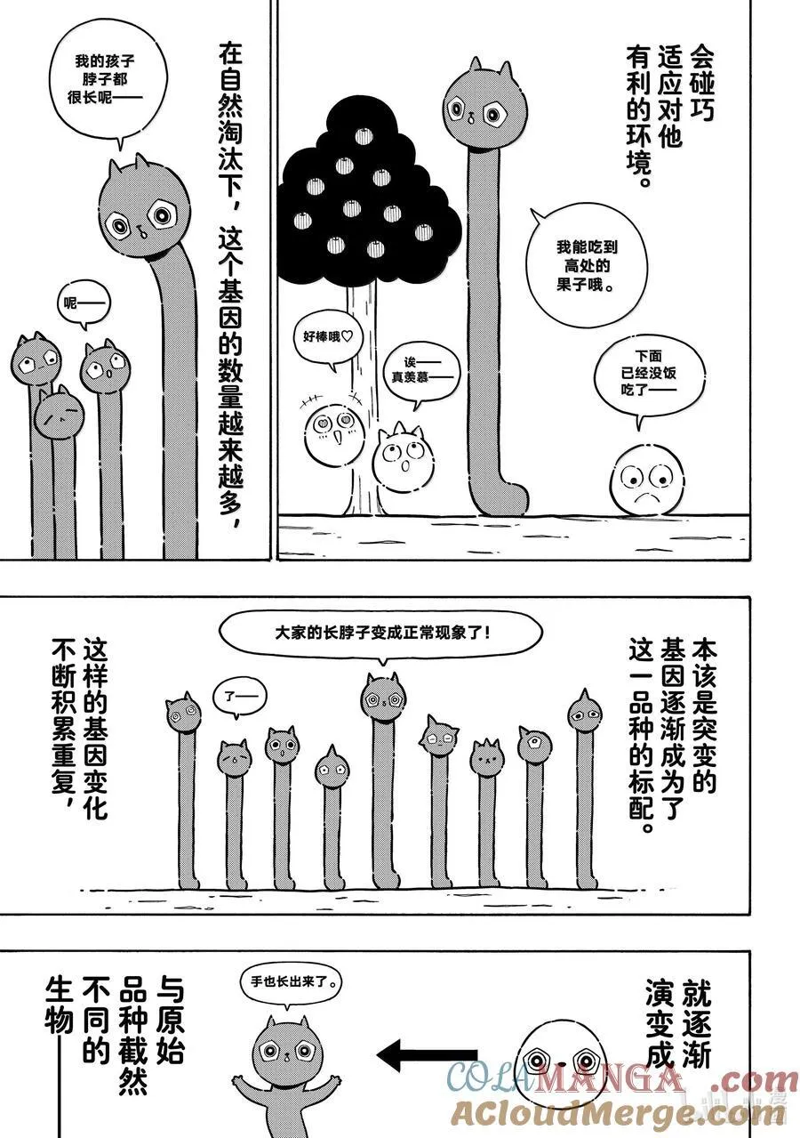 281 进化的方程式2