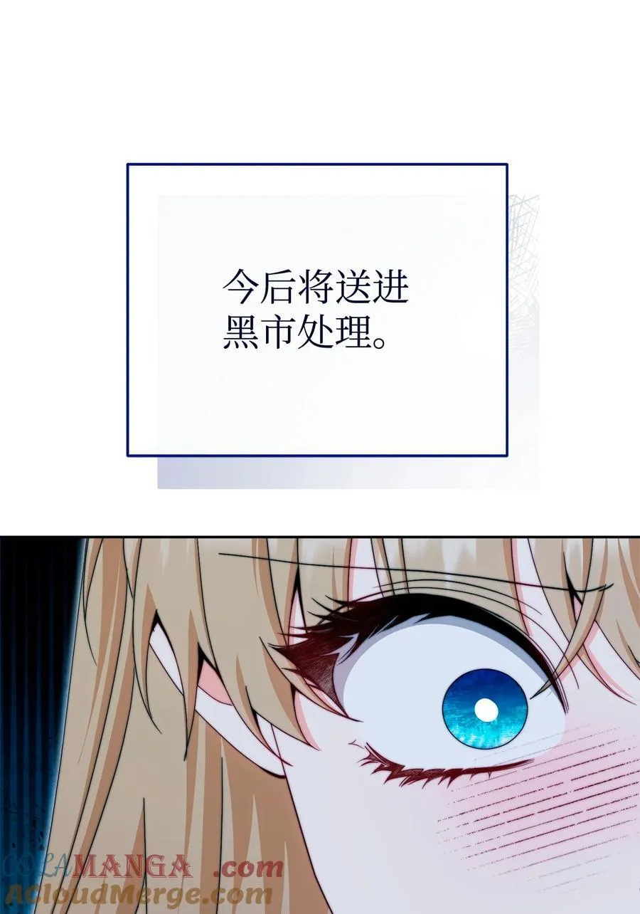 112 实验与陷阱63