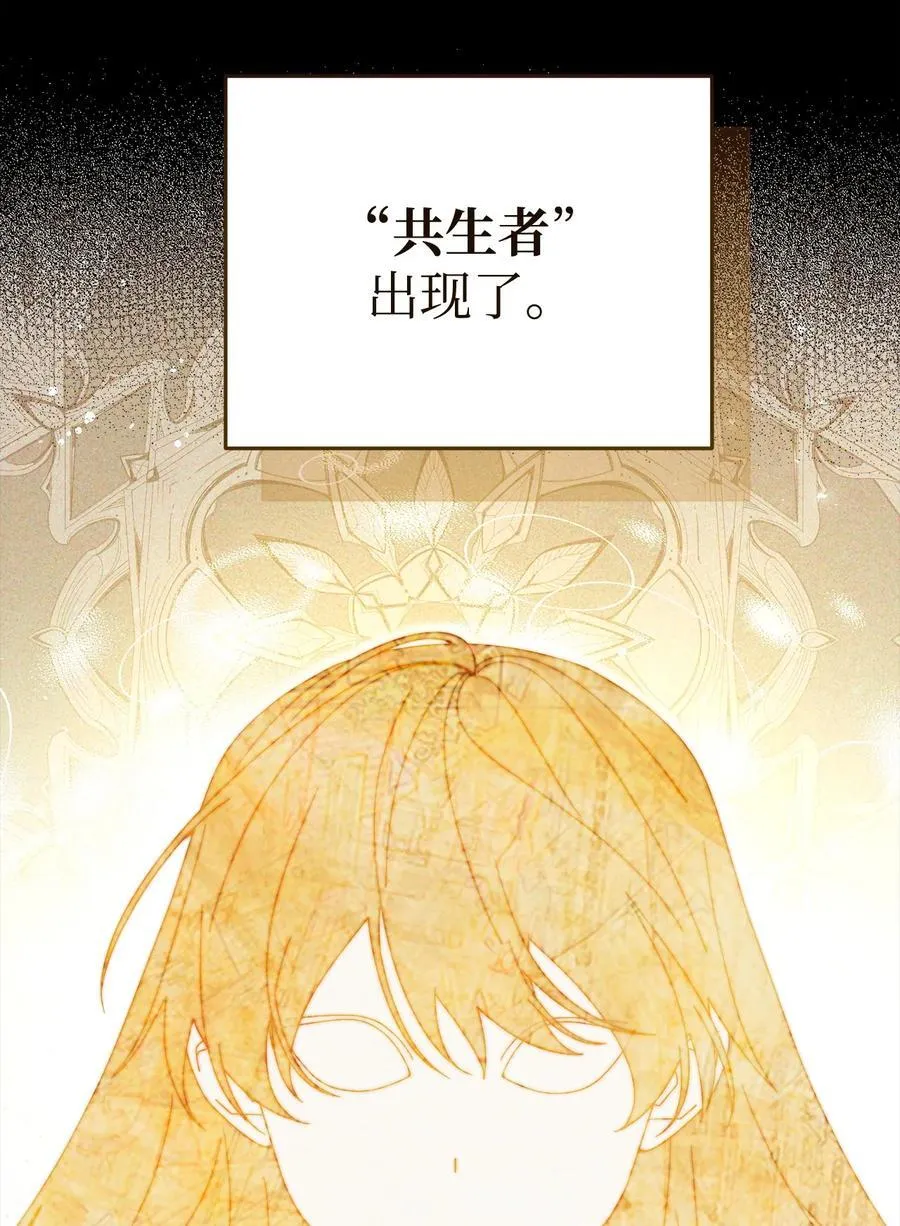 114 只有光的世界53