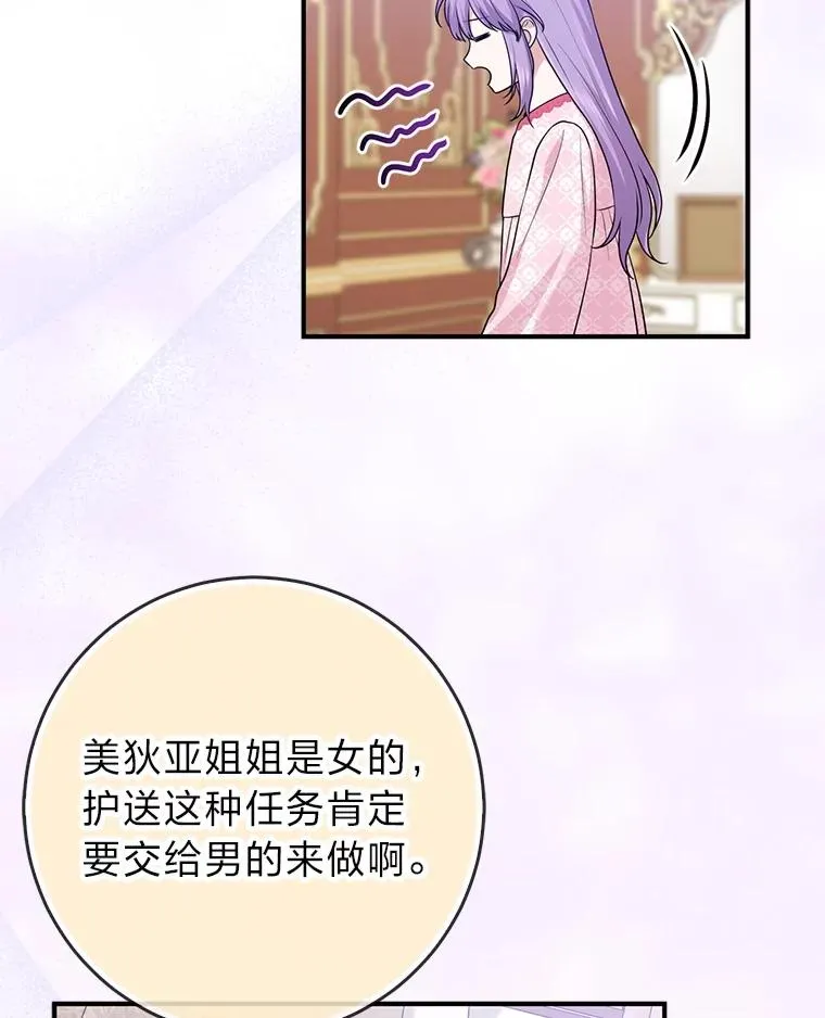 65.谁来护送薇欧拉27