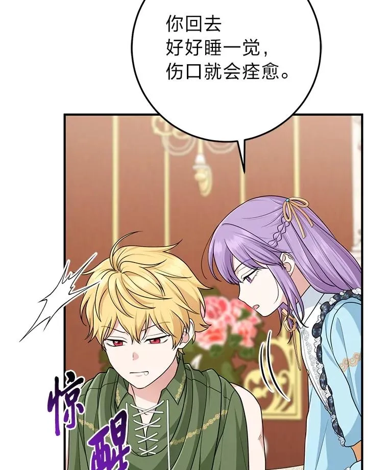 65.谁来护送薇欧拉2