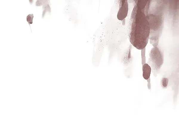 第121话 单枪匹马133