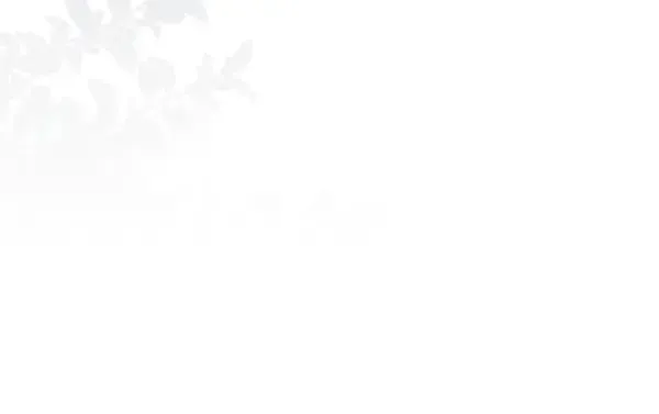第121话 单枪匹马25