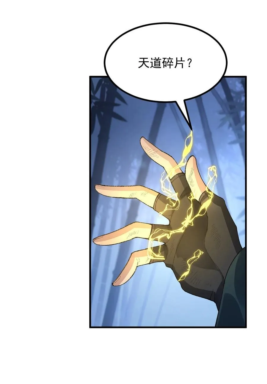 74 今日是取名废44