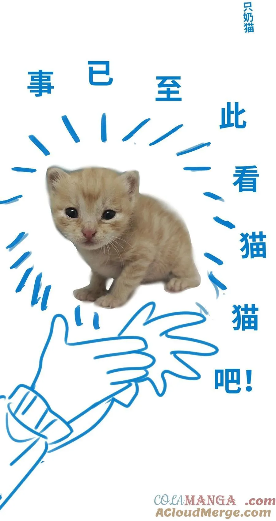 新卷预告 新卷预告 43