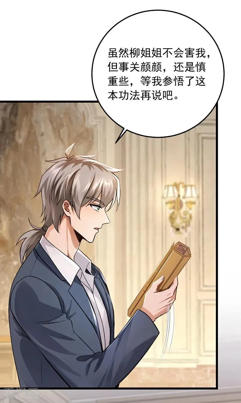 第223话 又一套功法？31