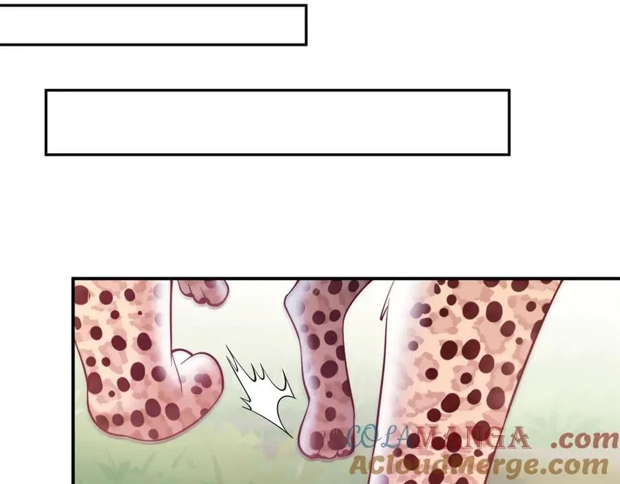 62251