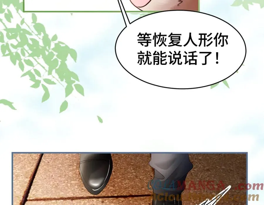 第57话 变成毛绒绒攻略影帝100
