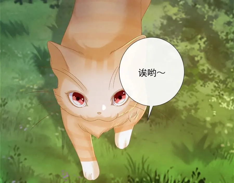 第108话 相见81