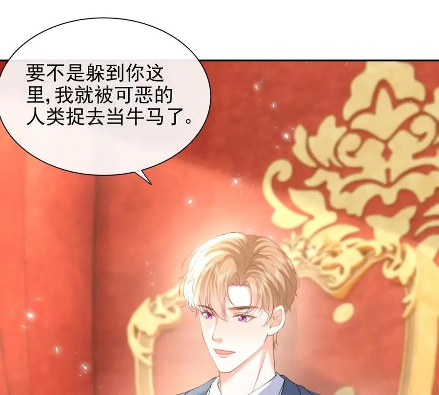 风浪越大鱼越贵28