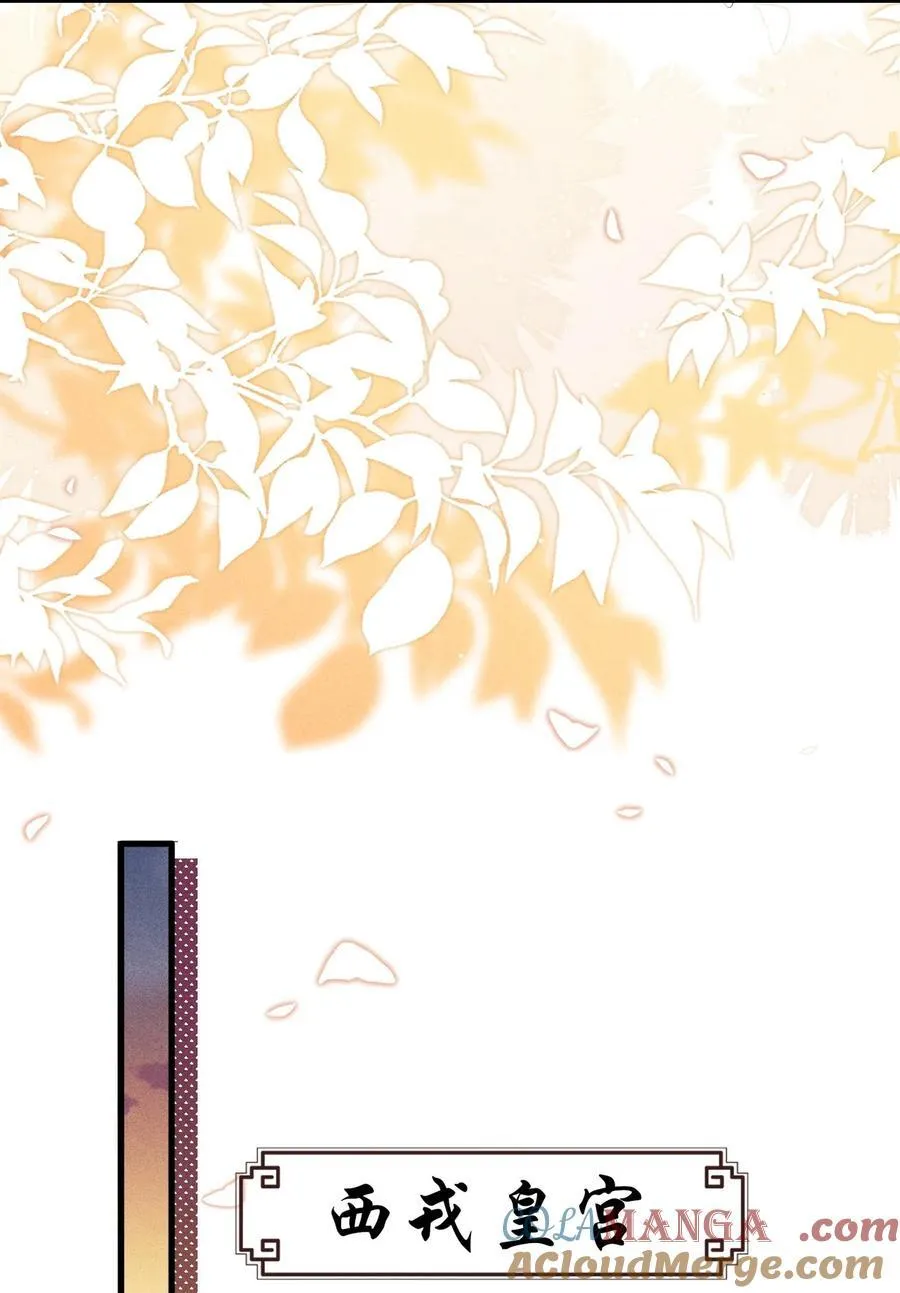 097 特布木24