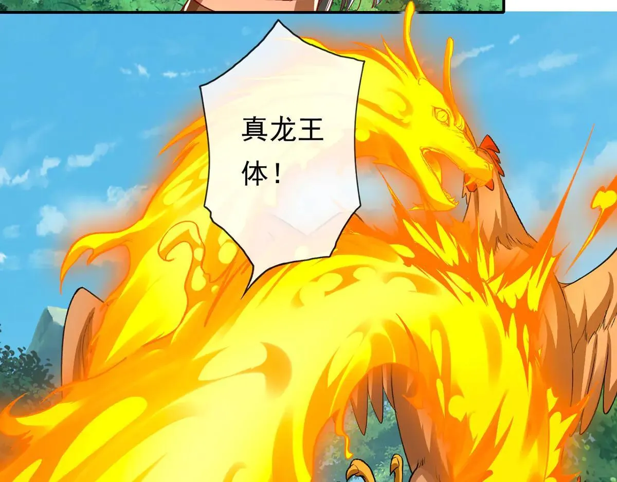 第206话 送你们点礼物27