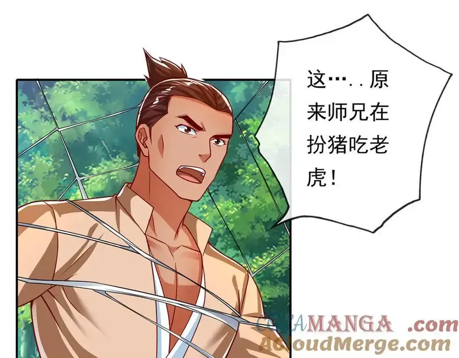 第210话 扮猪吃老虎24