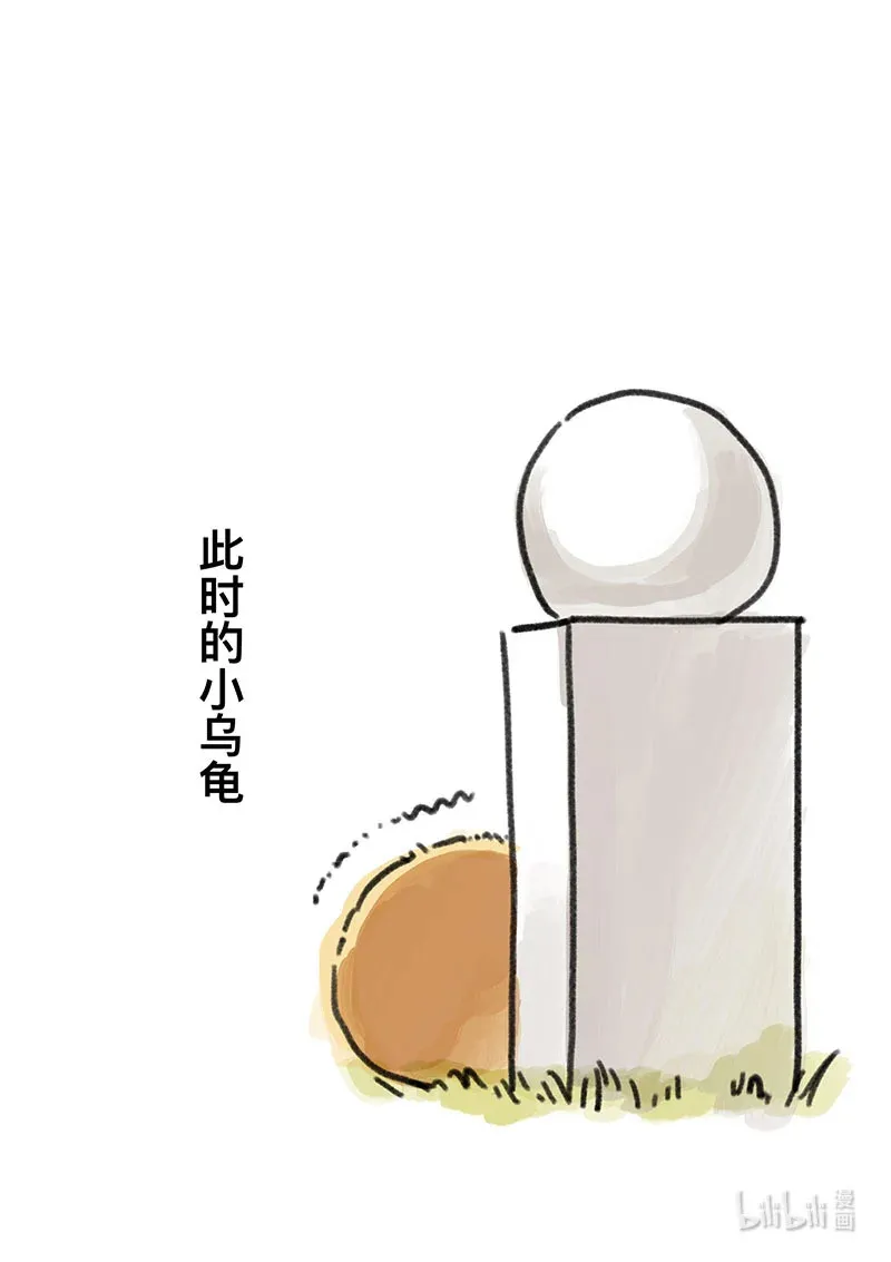 Act. 101 柯基庄园412