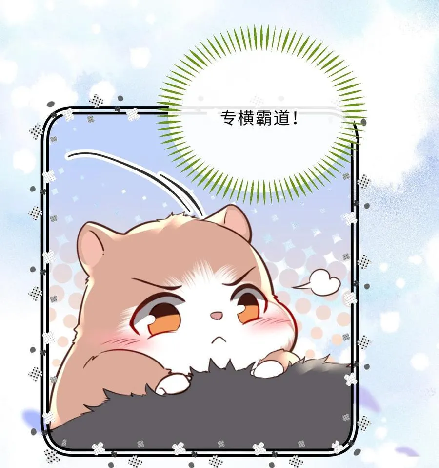 080 金总的行动力真强啊！26