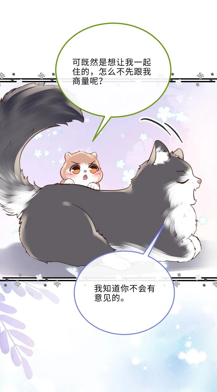 080 金总的行动力真强啊！25