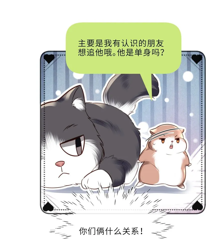 027 他们难道有一腿？！39