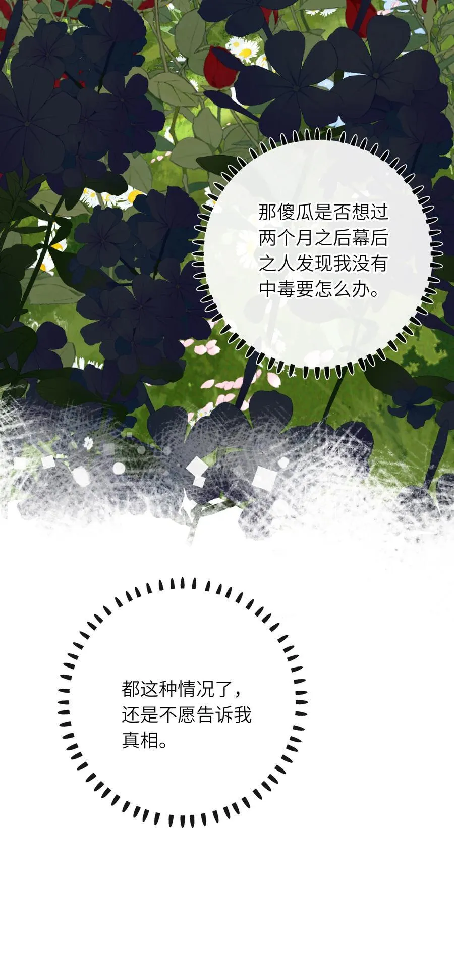 080 洞察37