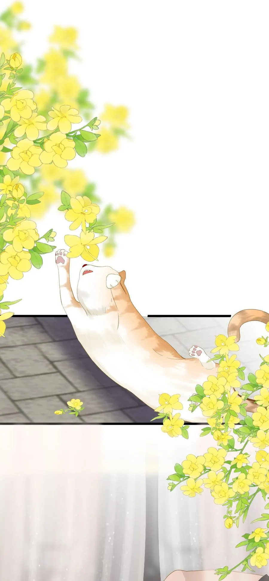 081 关于正妃1