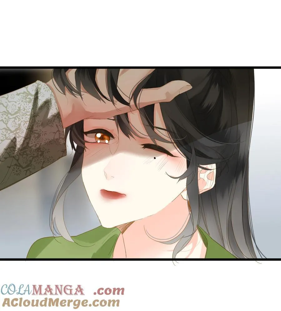 080 洞察48