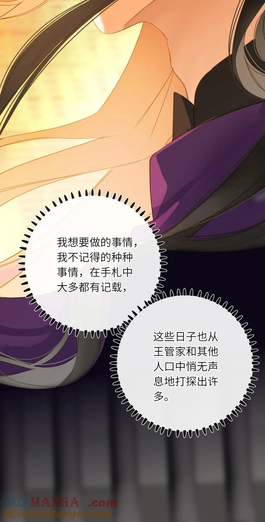 082 关于正妃45