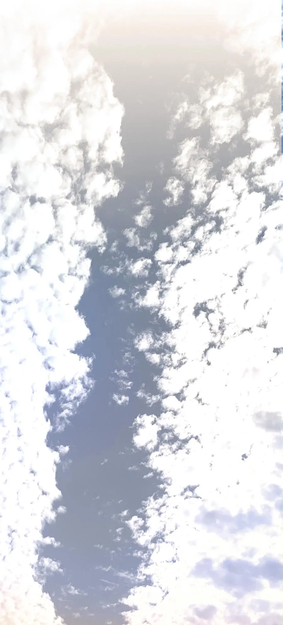 092 穆王弑君44