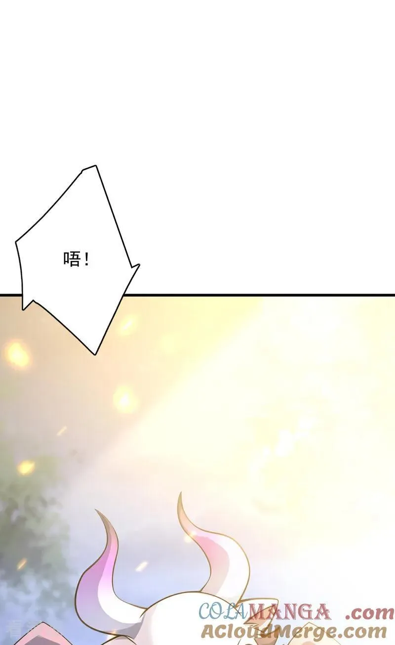第275话 陈玄救我！42