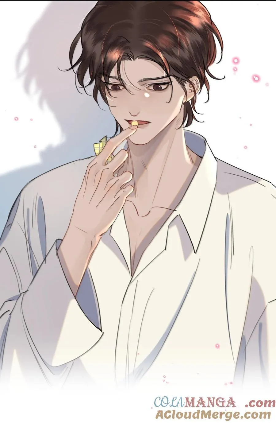 067 我想养一只小狗12