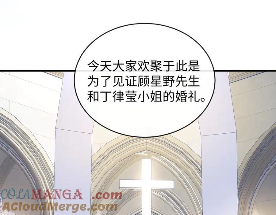 28-顾星野的婚礼45