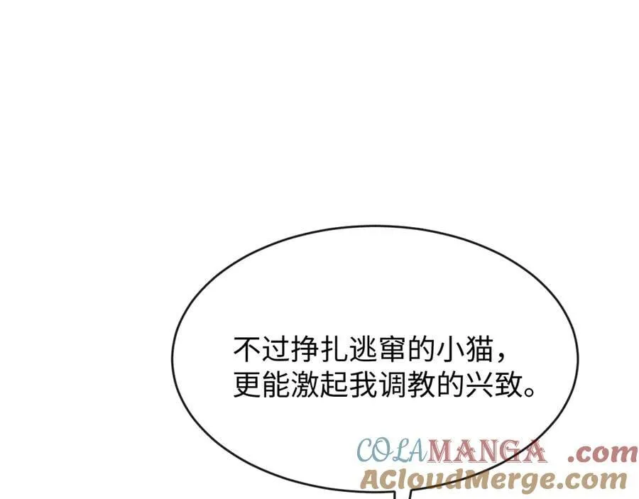 35-姜黄的报复72