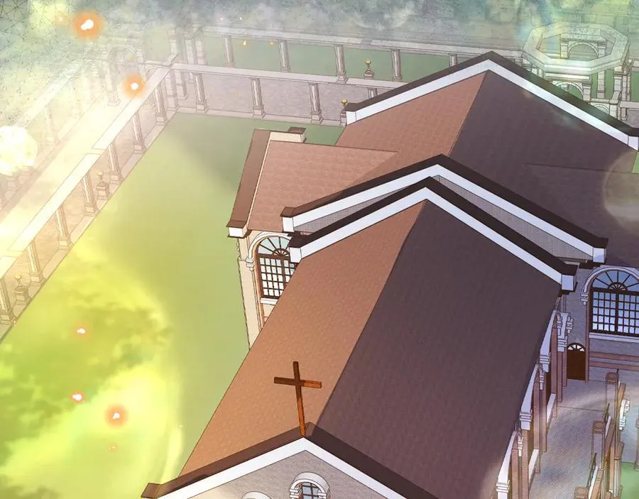 28-顾星野的婚礼43