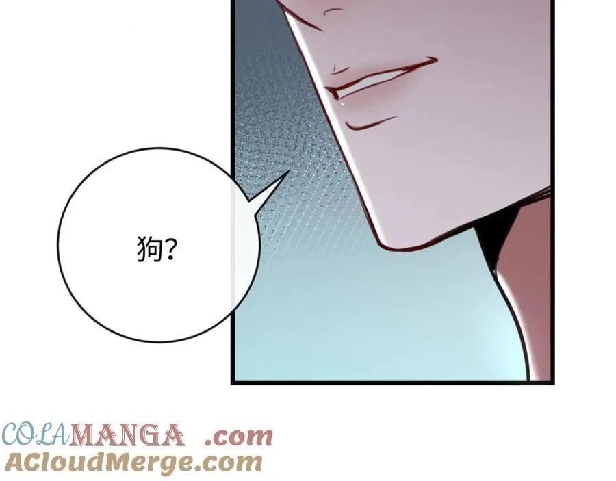 42-对峙4