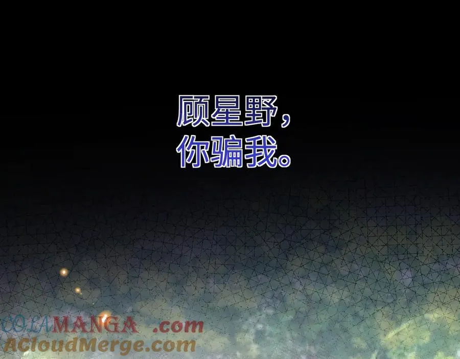 28-顾星野的婚礼42