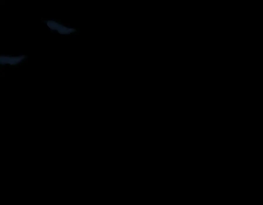 第57话 秘密135