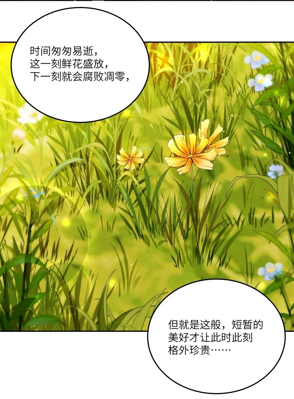 033 玫瑰是会凋零的10