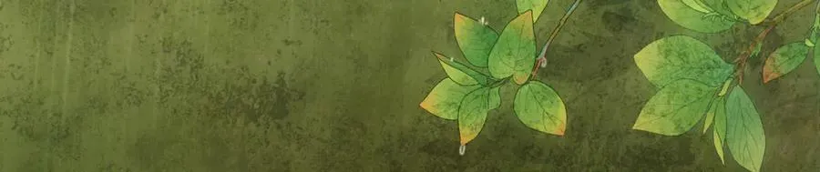 第二十三话 能记一辈子89