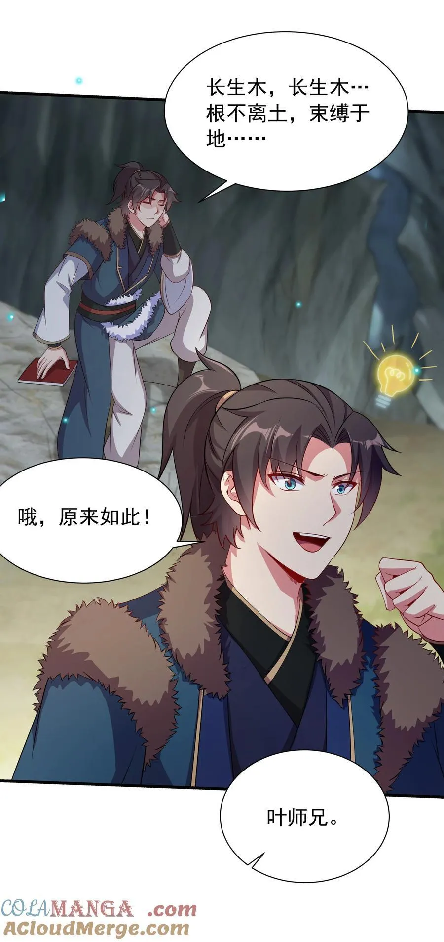 48 长生木6